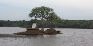 Makam H Sidi Danau Gedang